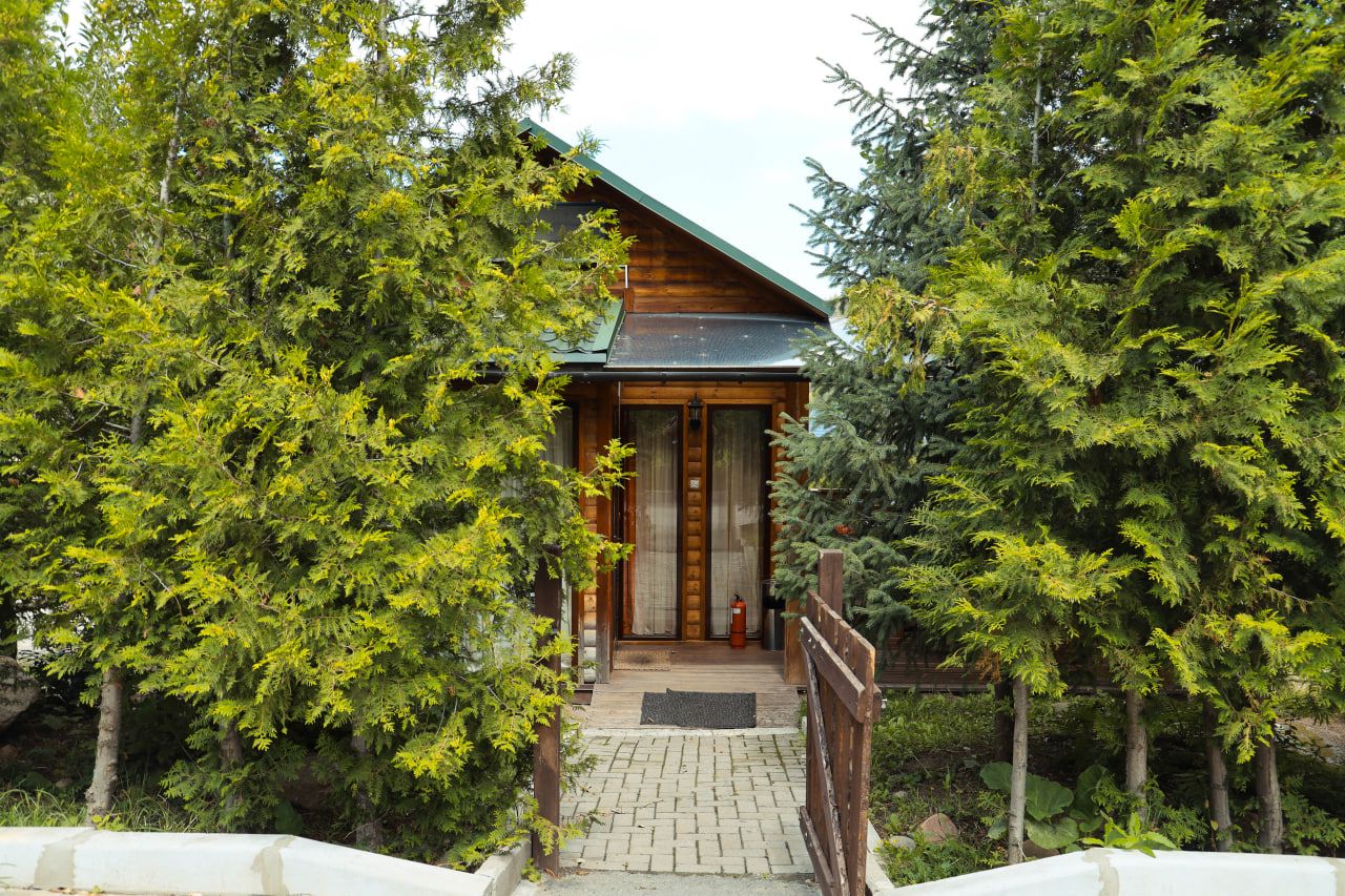 Бисексуалдар қоқыс