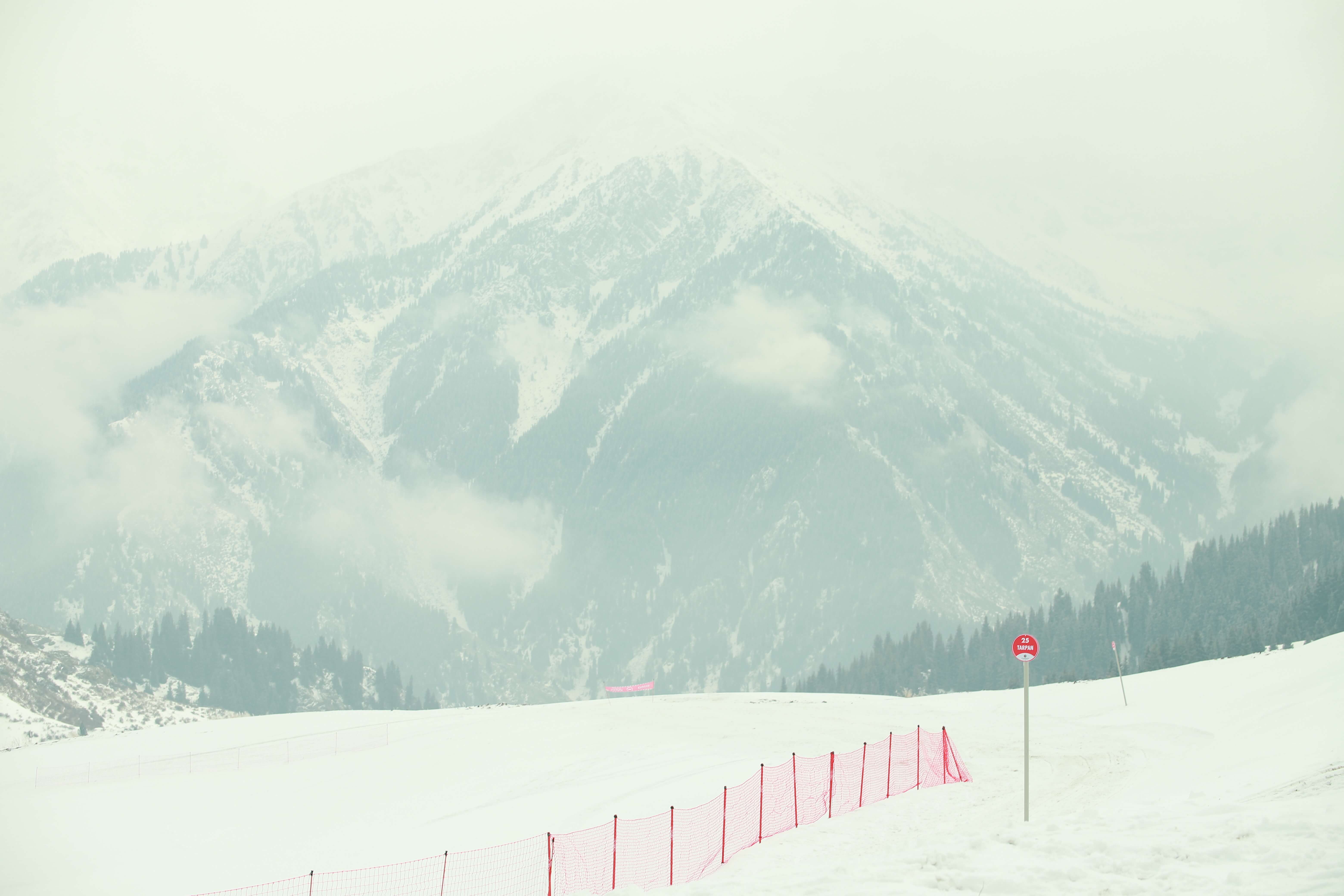 Үштік порно MMF секс